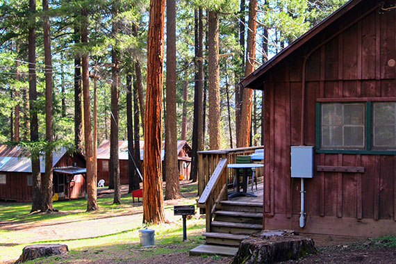 camp shasta slide 5