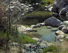 hotspring1 small