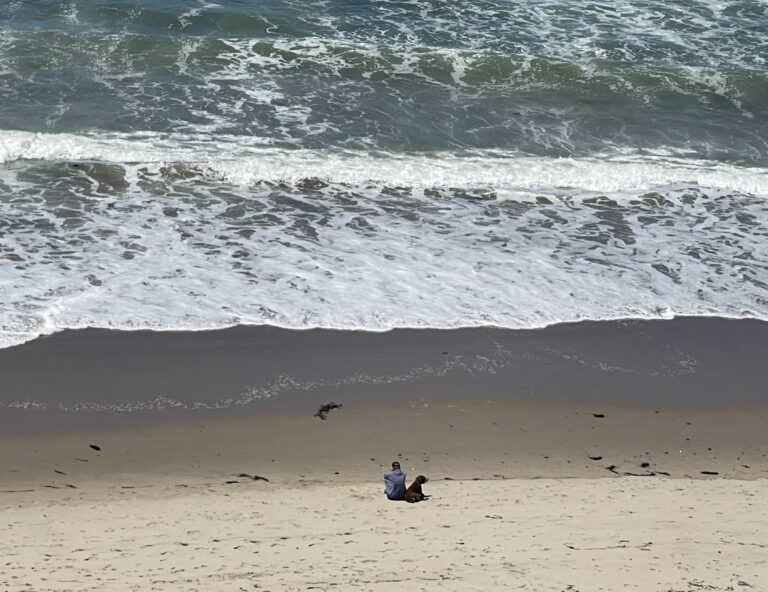bates beach person and dog 768x592
