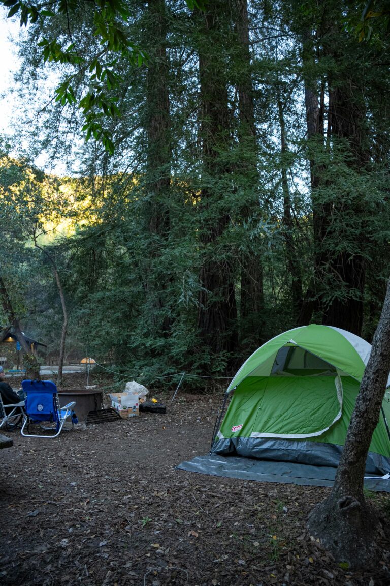 pexels kinley lindsey 922918528 20708782 Campgrounds 768x1152 1